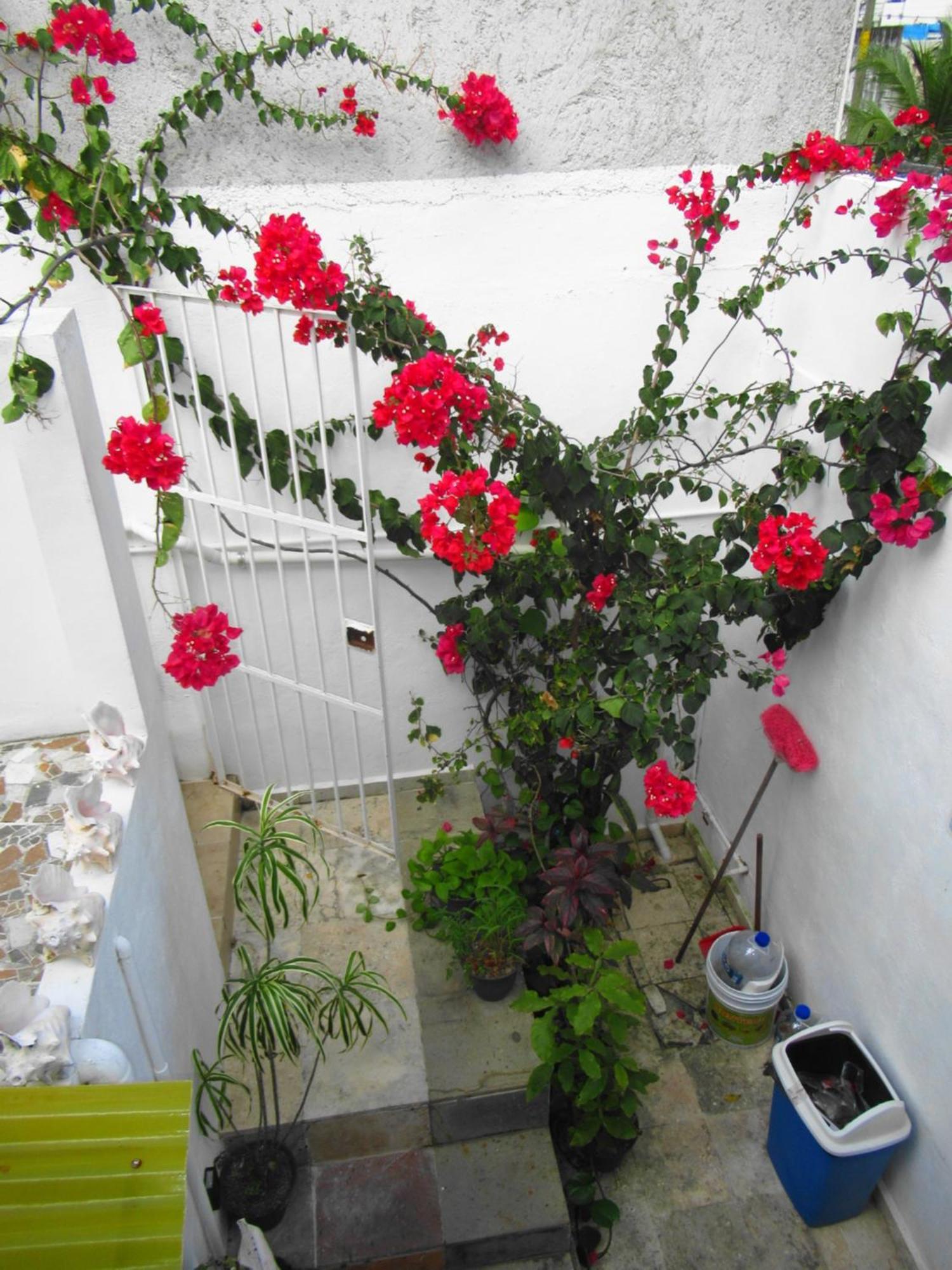 Cocos Apartment Cancun Exterior photo